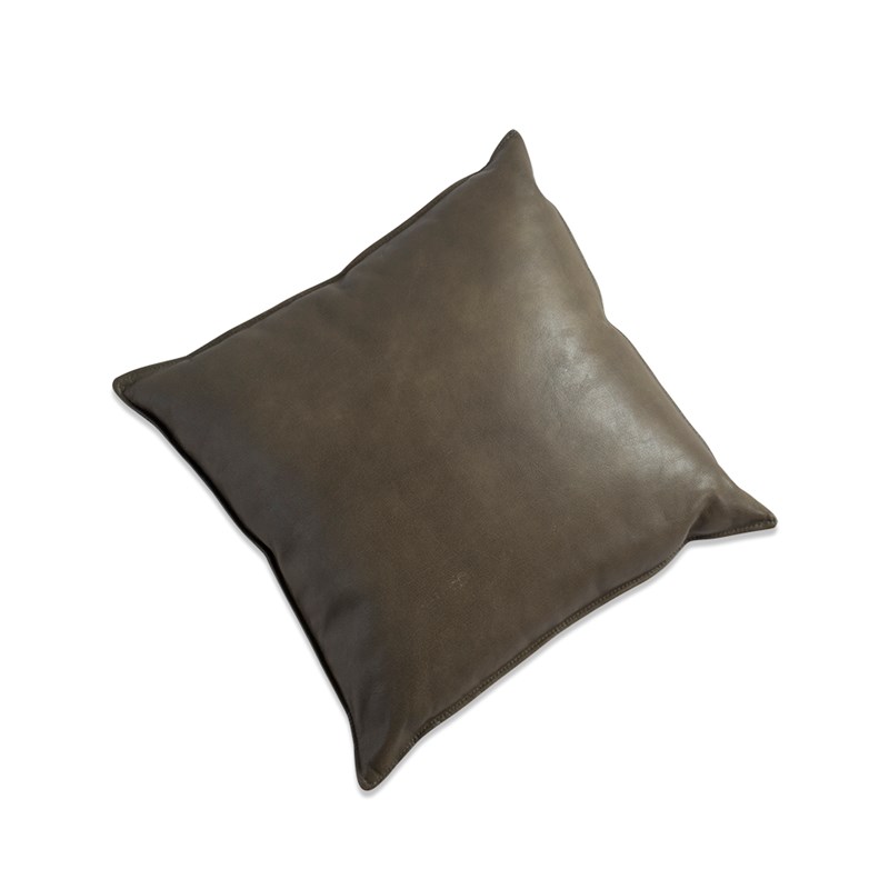 Vasa pillow